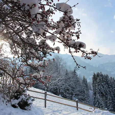 Am Buhlberg Bed & Breakfast